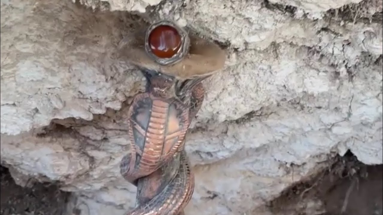 الزعيم يستخرج تمثال ياهودي يحمل افاعي🐍