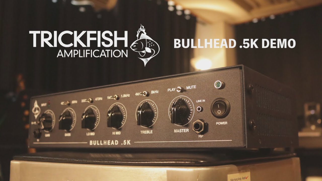 Trickfish Bullhead .5K Bass Amp Demo(No Talking) - De Gier, Tokai, Double Bass Test