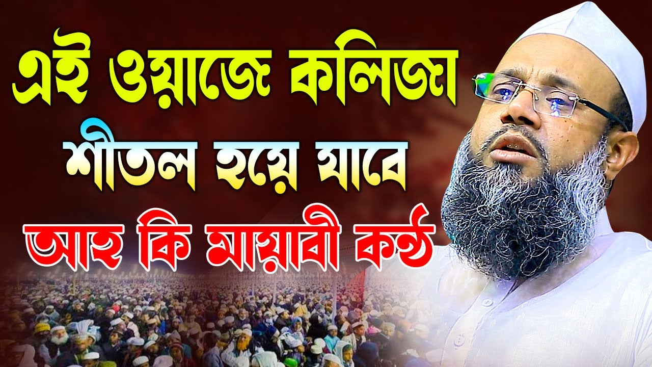 এই ওয়াজে আপনার কলিজা ঠান্ডা হবে ইনশাআল্লাহ | মুফতী সিবগাতুল্লাহ নুর Sibgatullah nur