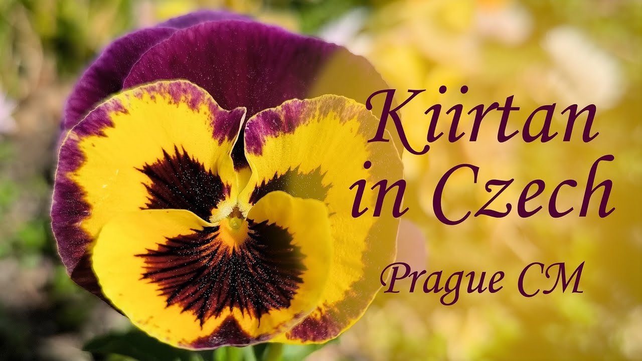 Kiirtan in Czech - Prague Collective Meditation