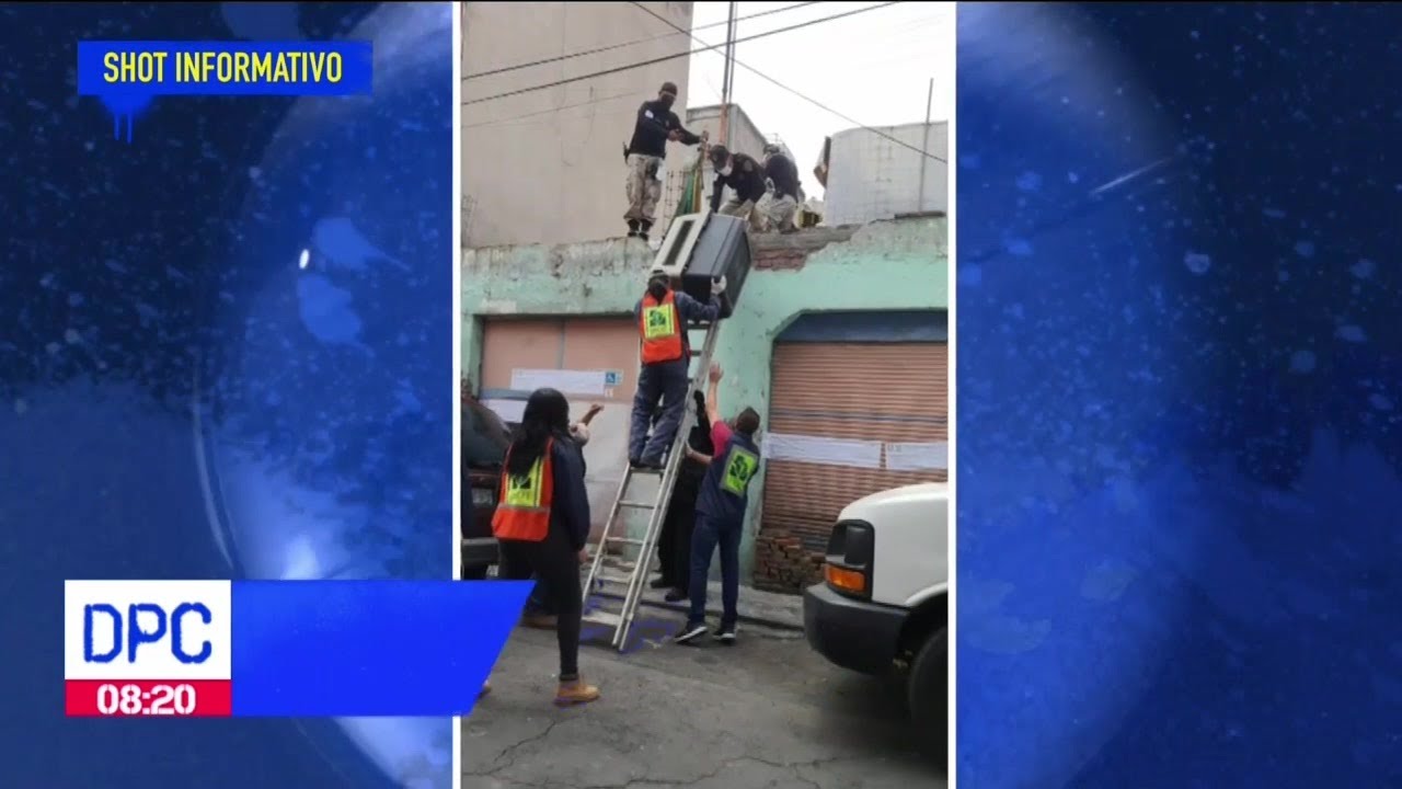 Rescatan a 14 perros en situaci&oacute;n de maltrato en la CDMX | De Pisa y Corre