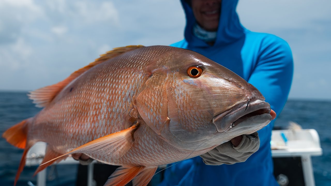 All about MUTTON SNAPPER and how to catch them  - Two Conchs Online TV/EP 48
