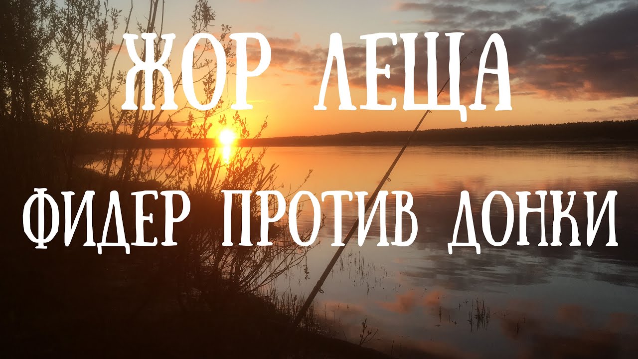 Фидер против донки, ловля леща на Вычегде в Республике Коми