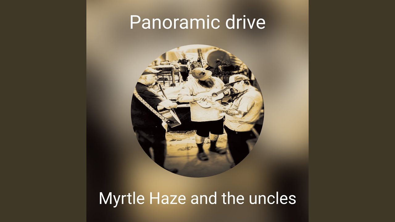 Panoramic drive
