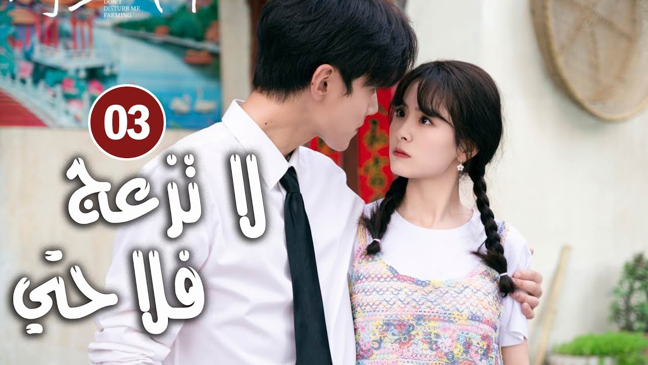 حلقة 03 دراما زواج رئيس متعجرف من فلاحة في القرية ( لا تزعج فلاحتي  | Don't Disturb Me Farming  )