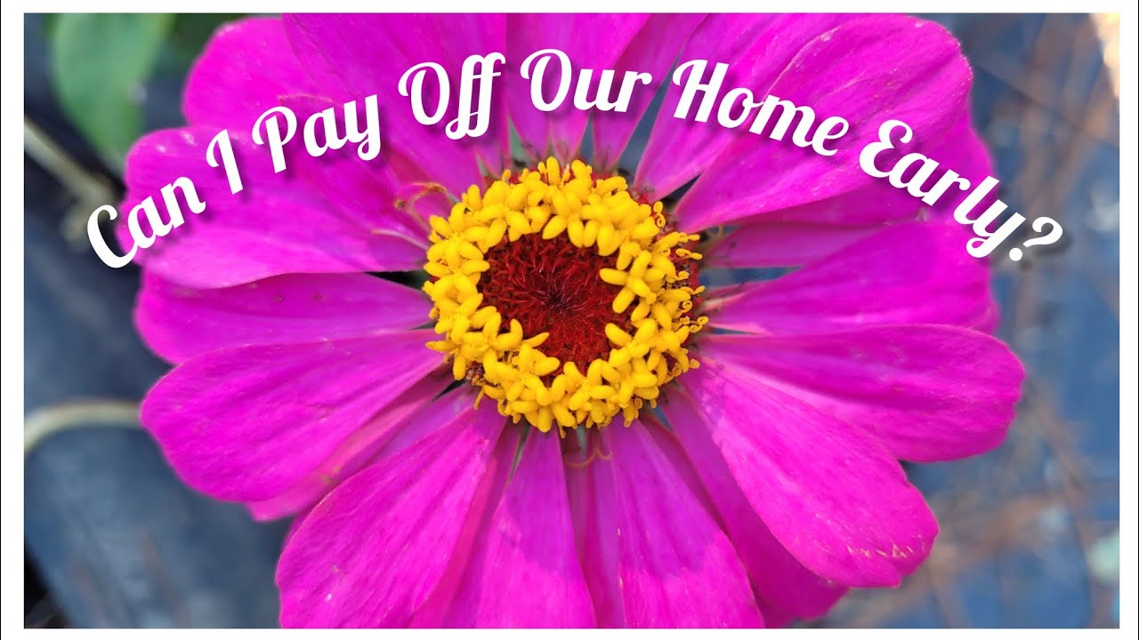 What Sold for the Month of September | Ebay Side Hustle 