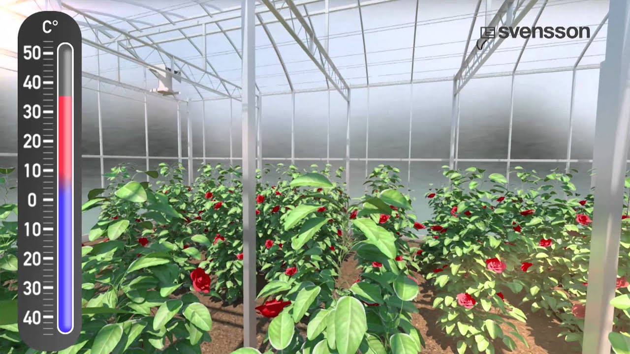 Achieve optimal greenhouse temperatures with Svensson Climate Screens