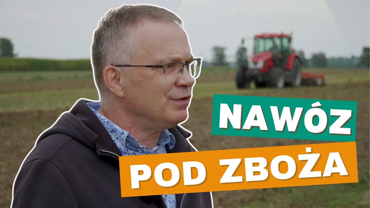 Jesienne nawożenie zbóż bez przepłacania w trudnych czasach?! Rady prof. Szczepaniaka | e-pole