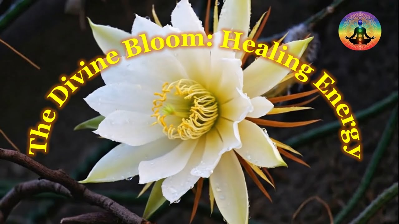 Flowers Blooming in 4K (Most Satisfying Video on Earth)