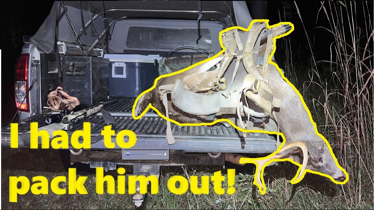 South Carolina Public Land Deer Hunt