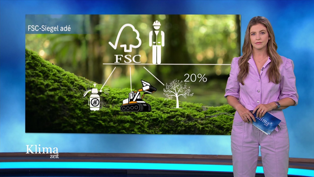 FSC ad&eacute; &ndash; warum Hessen bei der Zertifizierung des Waldes aussteigt | KlimaZeit