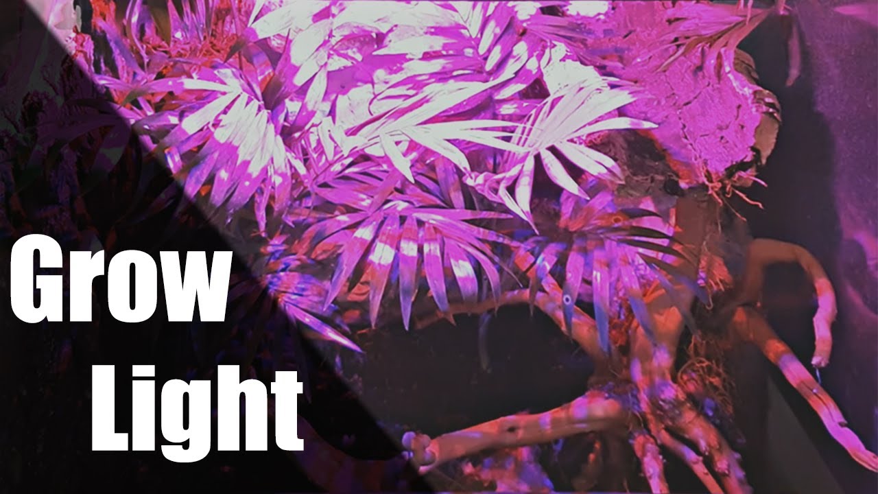 Grow Light / Oświetlenie do wzrostu roślin - PORADNIK (power LED)