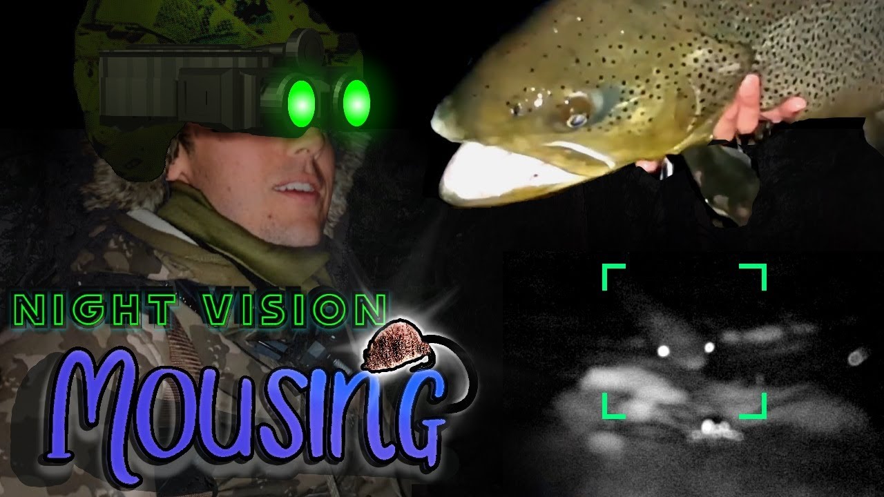 NIGHT VISION MOUSING for Big Brown Trout (fishing tips)
