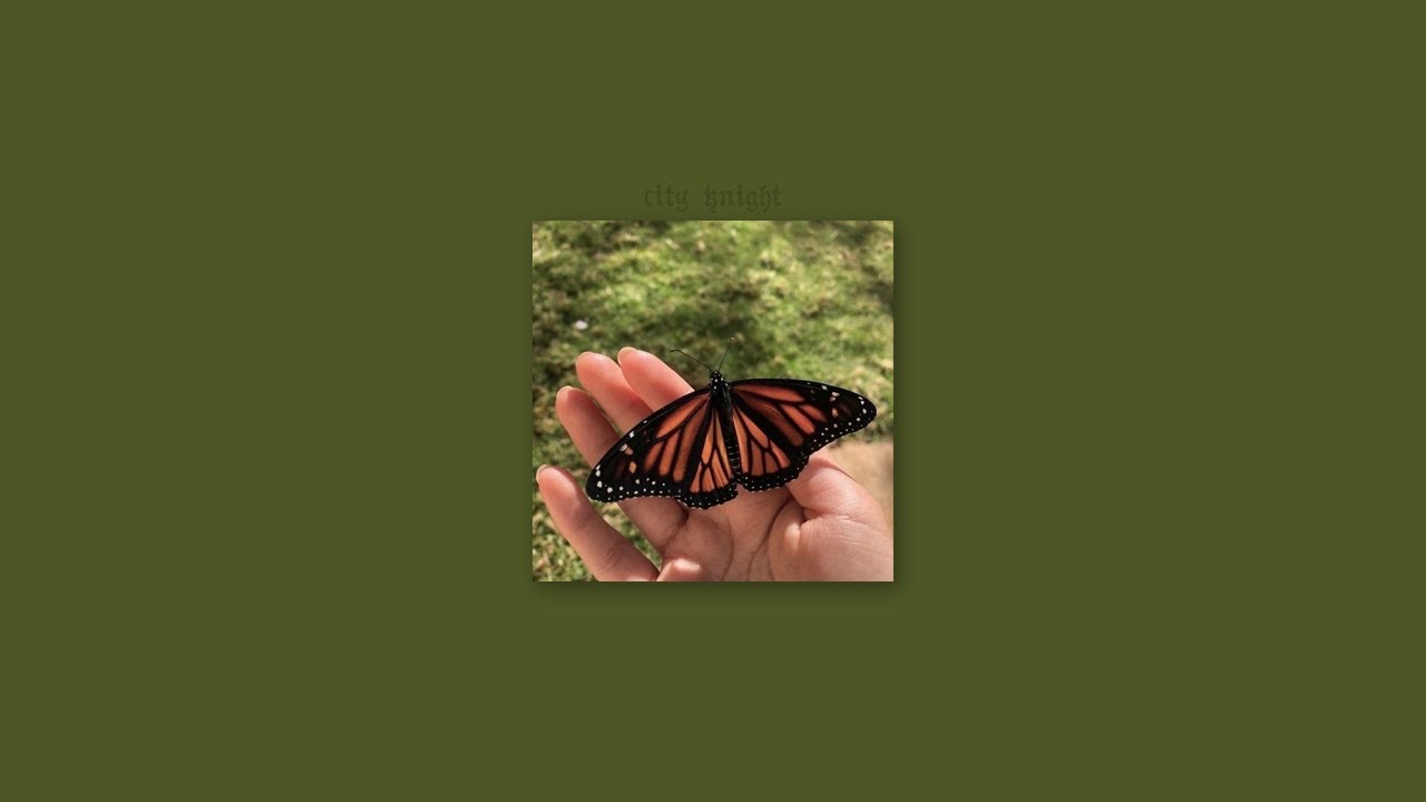 die young - sheppard [𝘴𝘭𝘰𝘸𝘦𝘥 + 𝘳𝘦𝘷𝘦𝘳𝘣 + 𝘭𝘺𝘳𝘪𝘤𝘴]