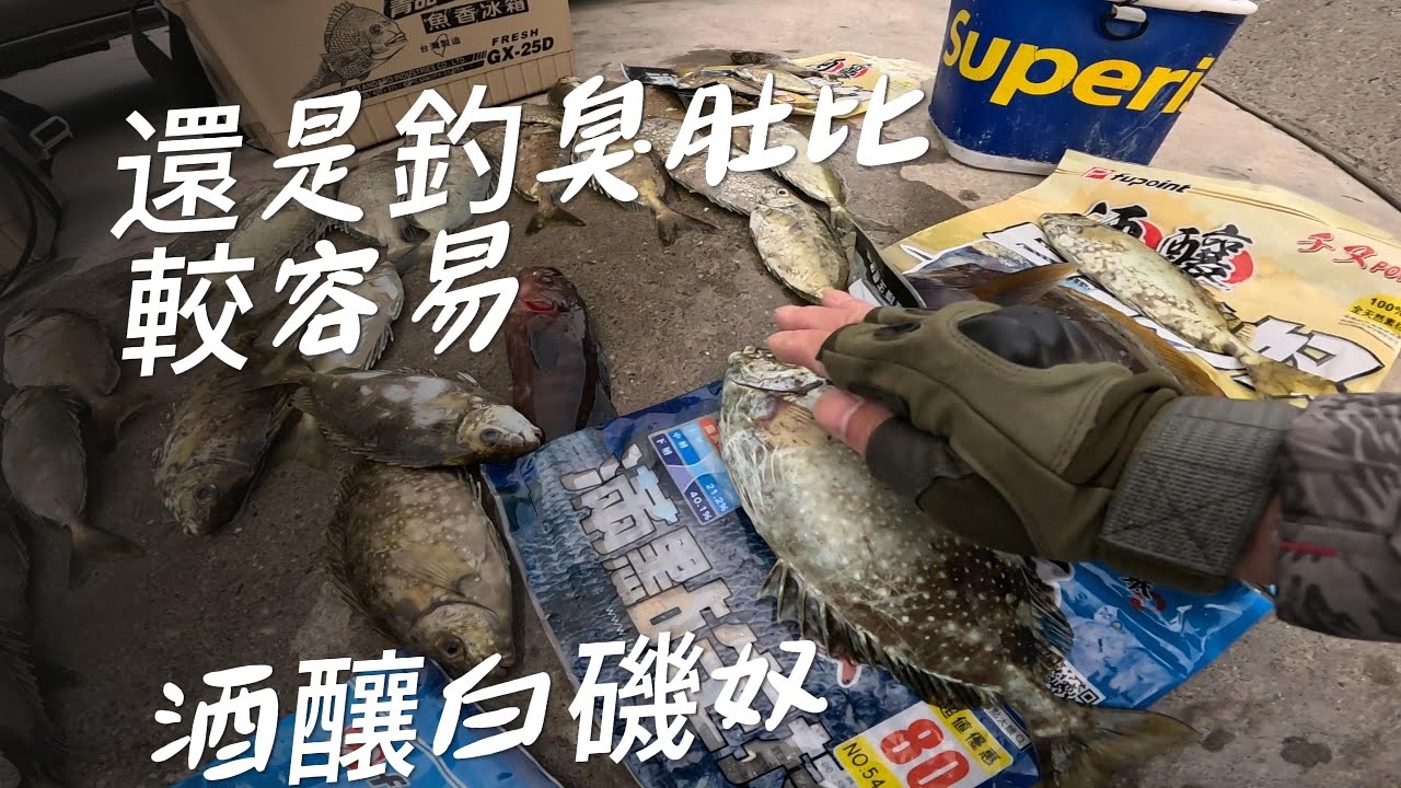 為了想吃外垵的割包.我們又走投無路去釣臭肚.割包連兩天沒開沒吃到.好在臭肚有咬,不然都想坐飛機回家了