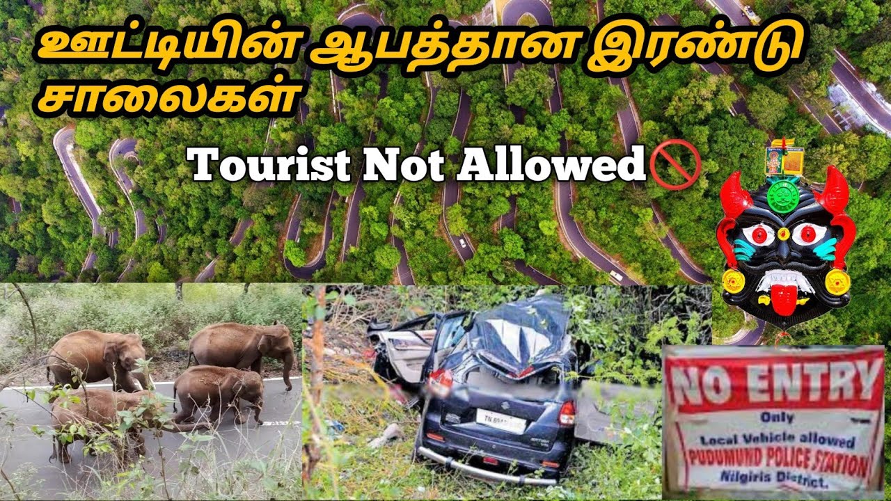 Explored Both Kallati & Mulli Roads In Ooty /காவு வாங்கும் கல்லட்டி சாலை ஒரு திகில் 👹 Mulli to Ooty