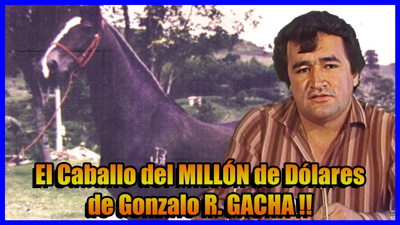 TUPAC AMARÚ : El Caballo de GONZALO Rodríguez GACHA