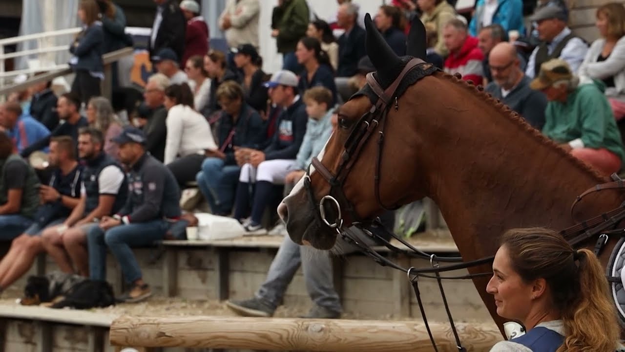 Fontainebleau CSO 2022 - Elevage - le Haras des Isles