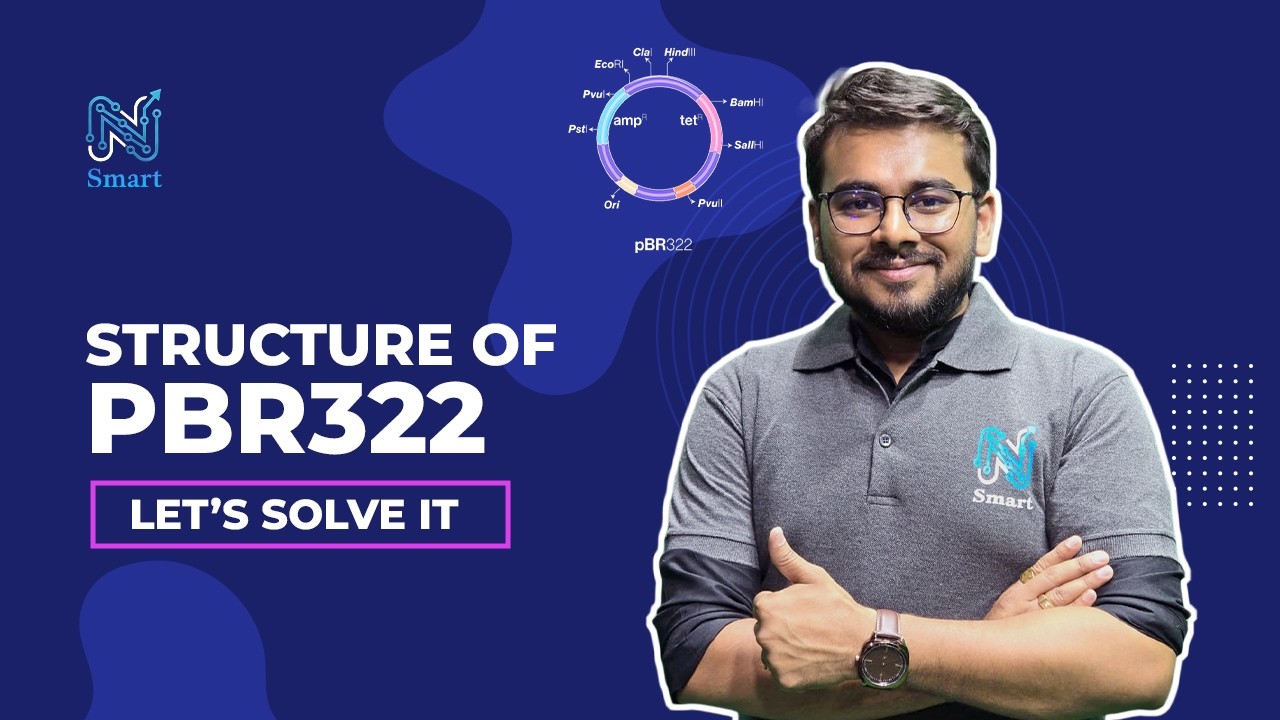 Structure of PBR322| Let's Solve It