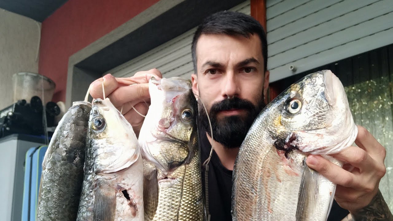 Pesca sub: ricominciamo cosi'