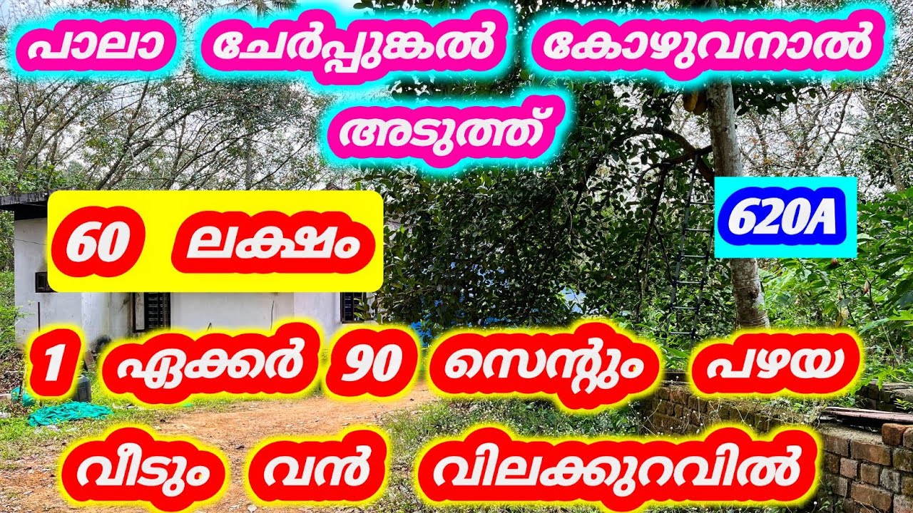 1 ഏക്കർ 90 സെന്റും വീടും 60 ലക്ഷം മാത്രം 😍 പാലാ ചേർപ്പുങ്കൽ കൊഴുവനാൽ അടുത്ത് 620A #kerala #home #new