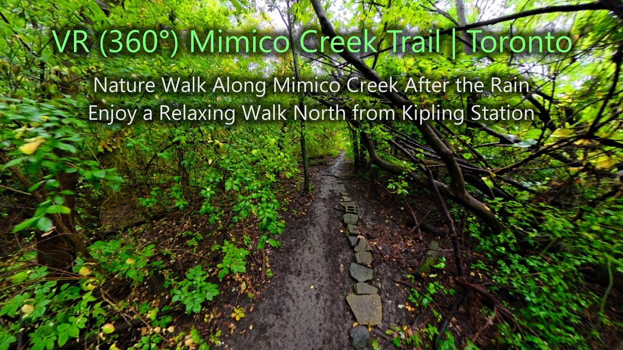 VR (360&deg;) Mimico Creek Trail Nature Walk | Toronto