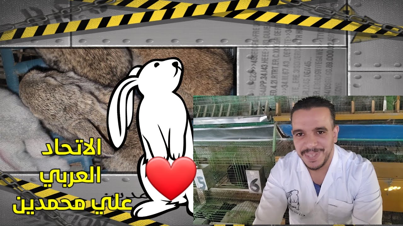 هننجح يعني هننجح ان شاء الله