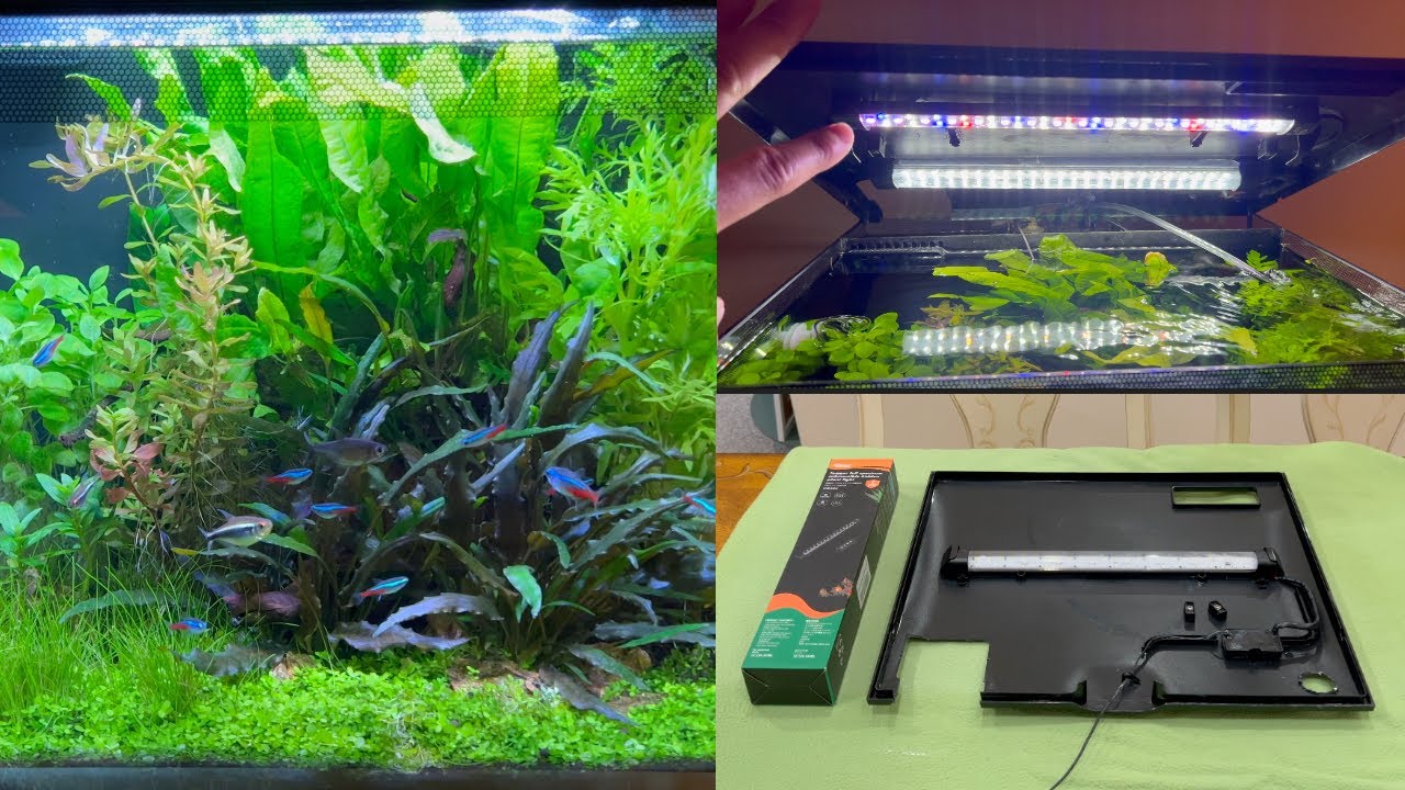 DIY Light Upgrade for Aquariums with a Lid - Fluval Flex 15