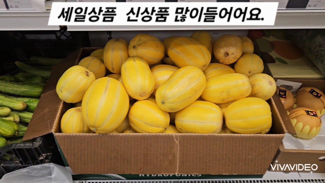 11 February 2026 주문 고고!