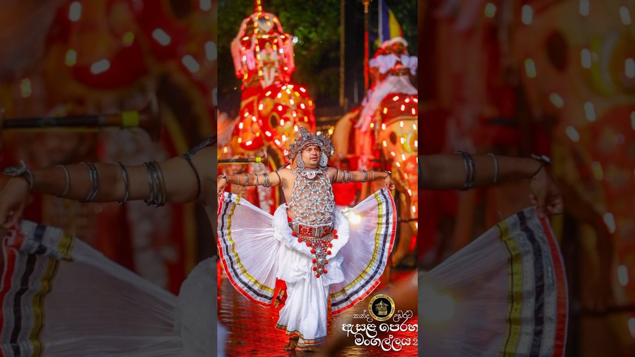 It is a once in a lifetime event l Kandy Esals Perahera | මහනුවර ඇසළ මහා පෙරහැර | Dalada Perahera