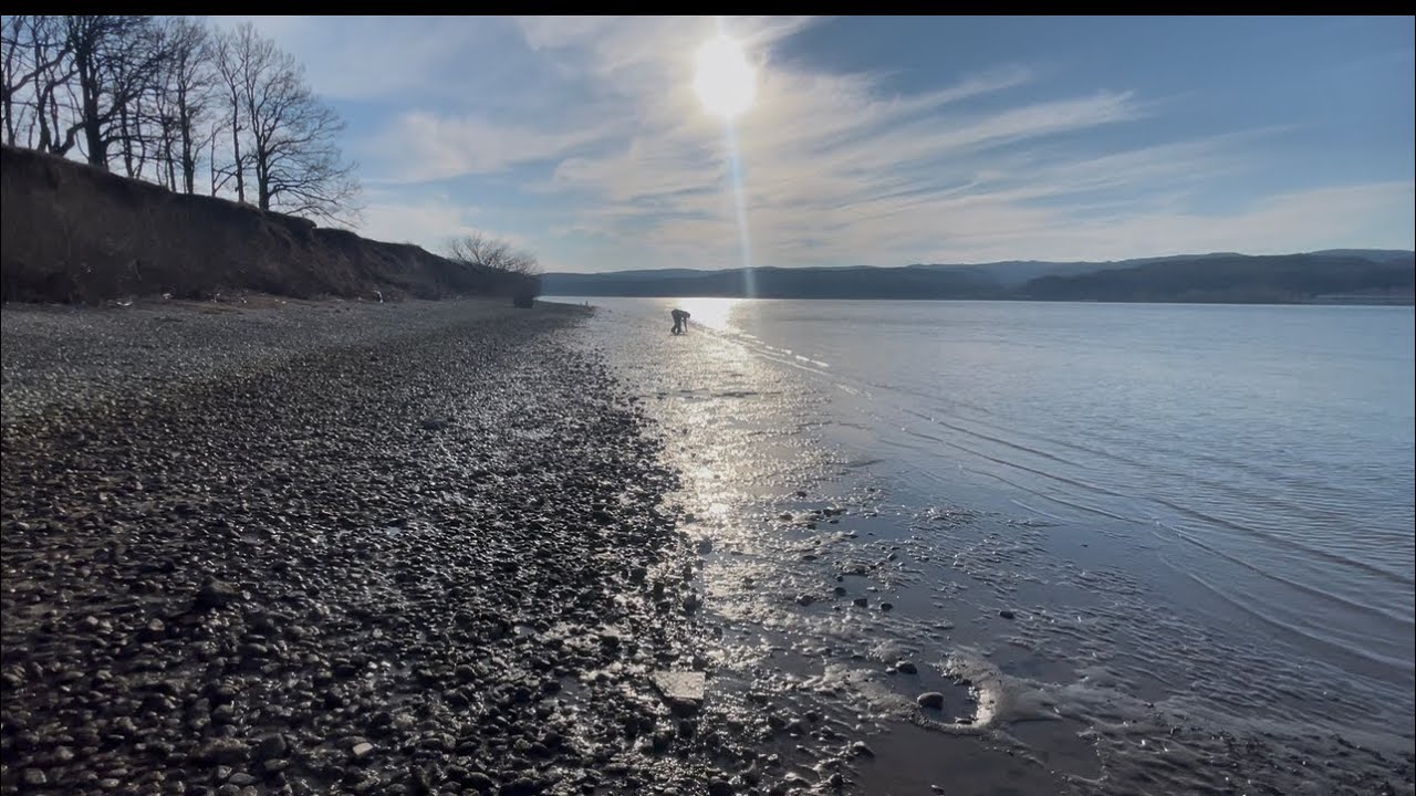 Dunarea scazuta blana