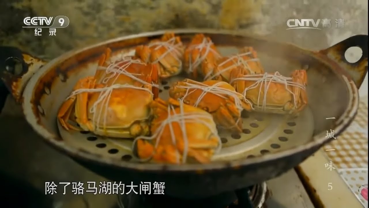 大闸蟹、银鱼汤 宿迁人餐桌上不可或缺的河鲜美味《一城一味》第5集【CCTV纪录】