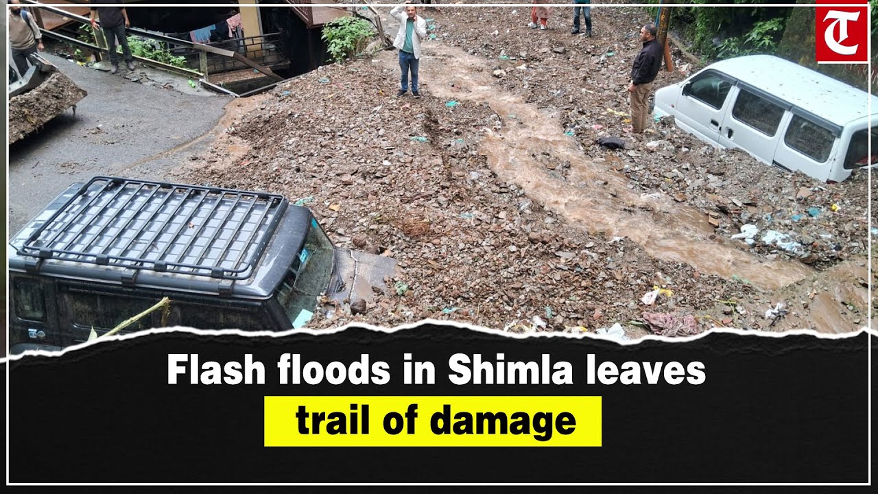 Shimla flash floods: Vehicles buried under debris after heavy rains