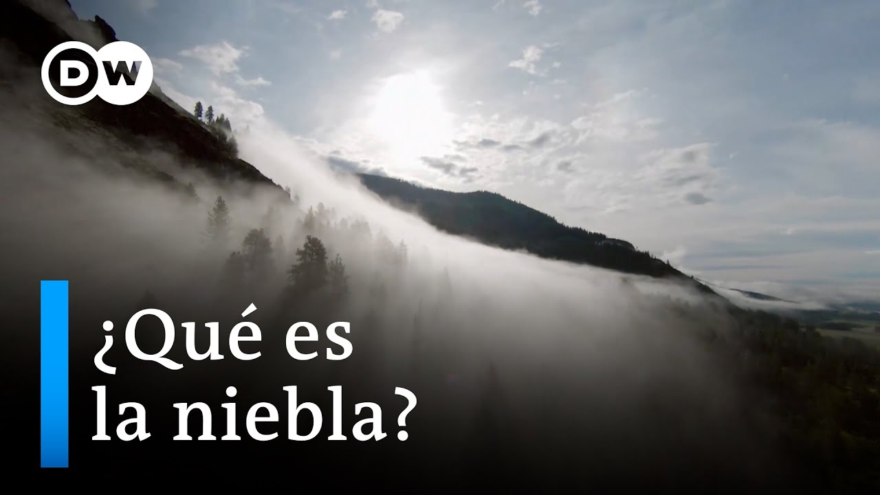 ¿Cómo se forma la niebla?