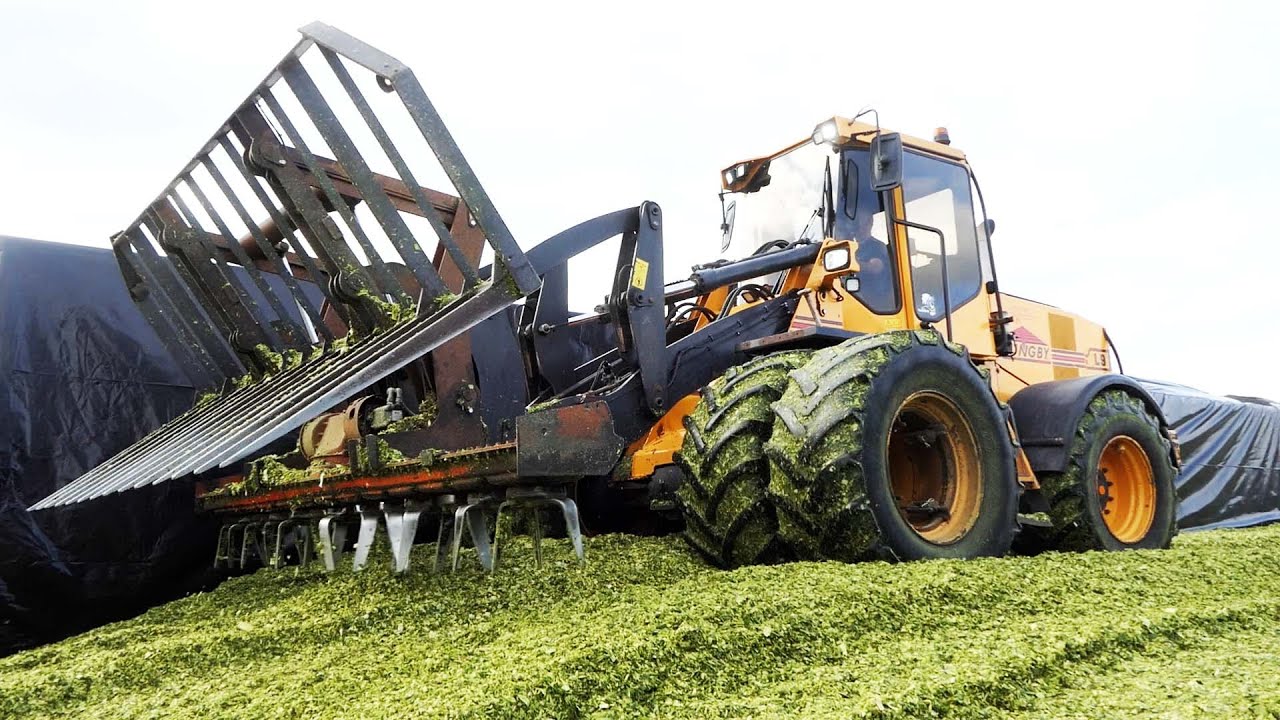Ljungby L9 Wheel-Loader on duty in the Silage Stack | Corn Silage Season 2022 | Maisernte