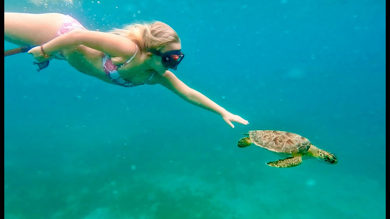 Crucero por el caribe y parques tematicos diciembre 2025 4k (parte 1)