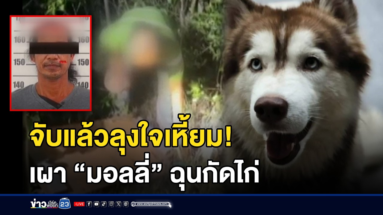 จับแล้วลุงใจเหี้ยม! เผา “มอลลี่” ฉุนกัดไก่ l ข่าวเที่ยงเวิร์คพอยท์ l 23 ก.พ.69