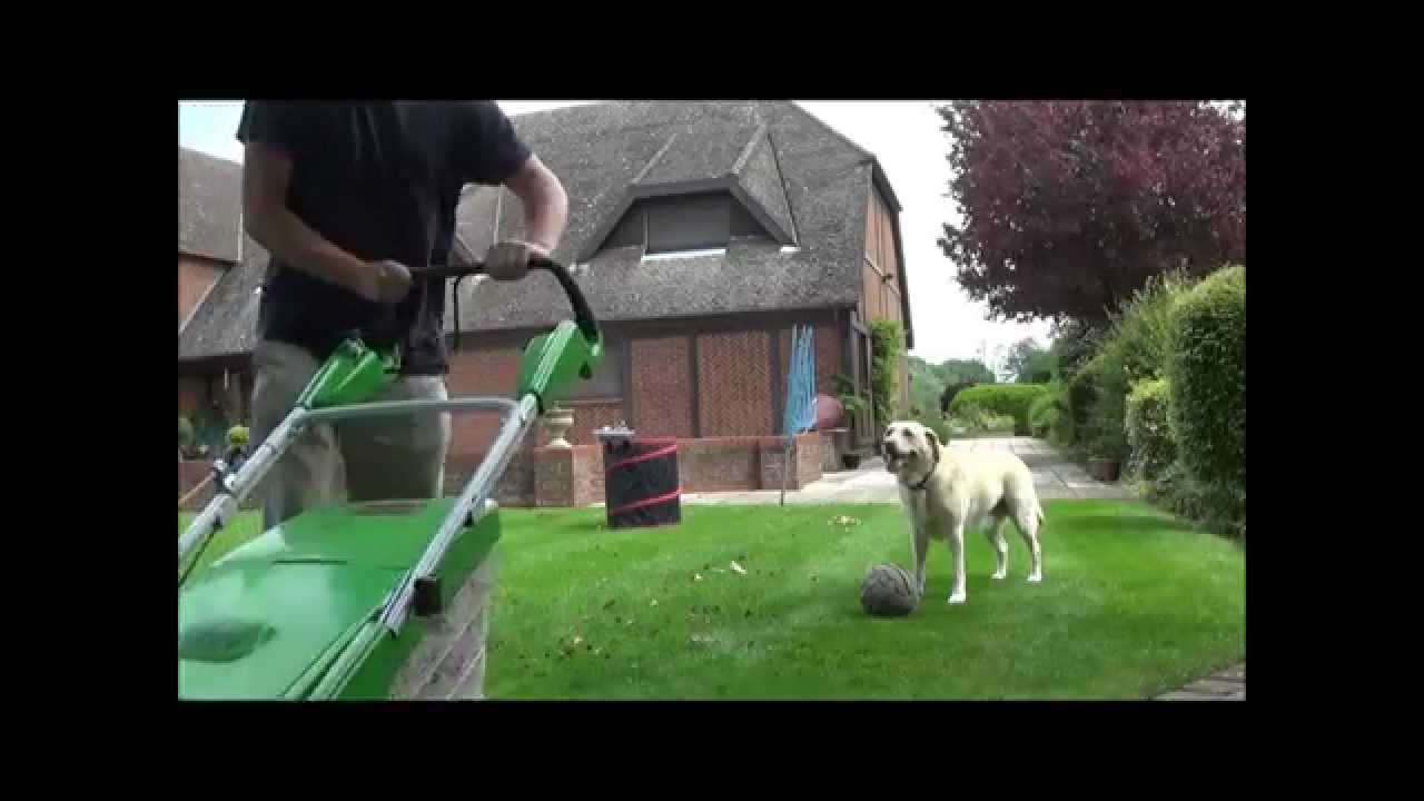 Cutting a little lawn with a Viking lawn mower.
