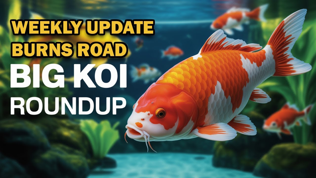 🔥 Burns Road Fish & Aquarium Market Weekly Roundup 2025 | Rare Fish Prices & New Arrivals
