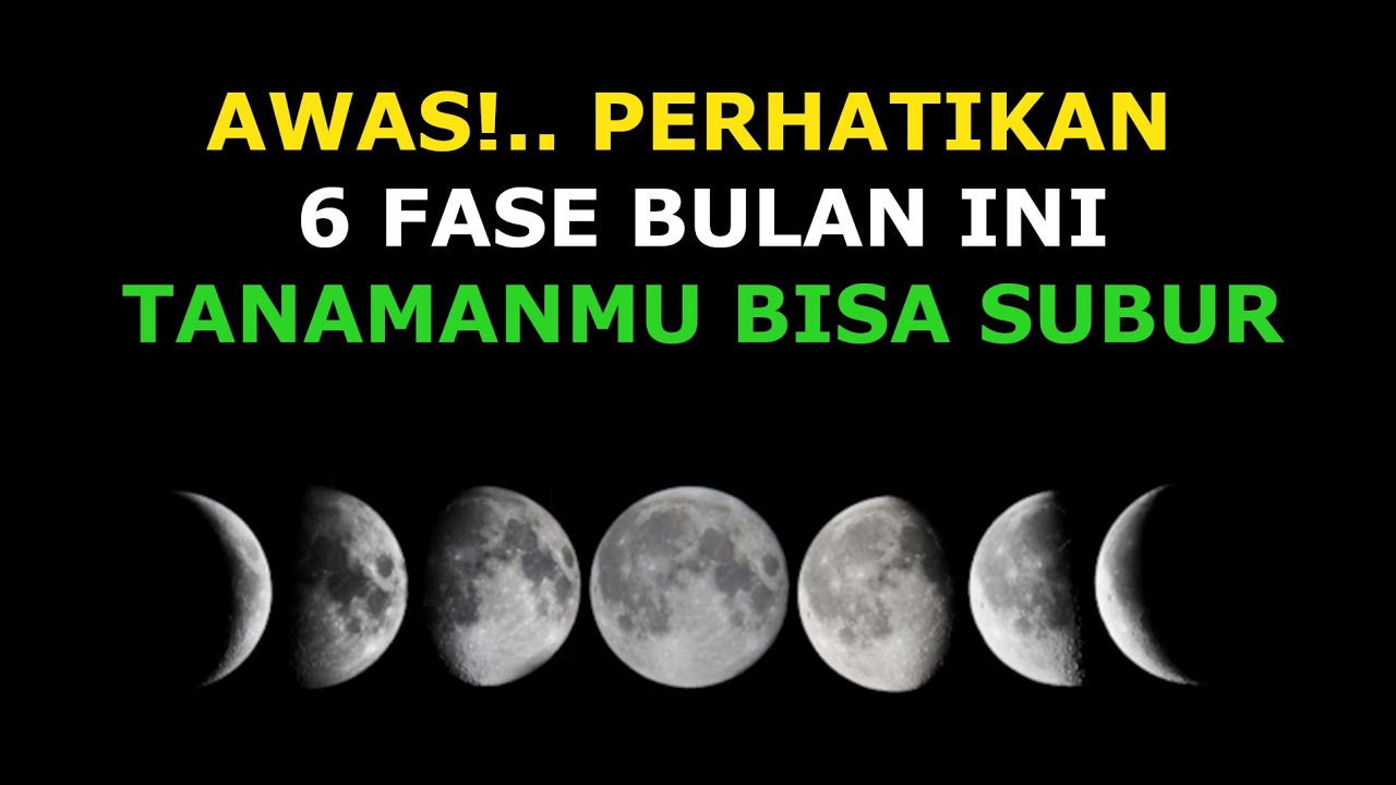 Biodynamic, Pengaruh Fase Bulan Terhadap Pertumbuhan Tanaman