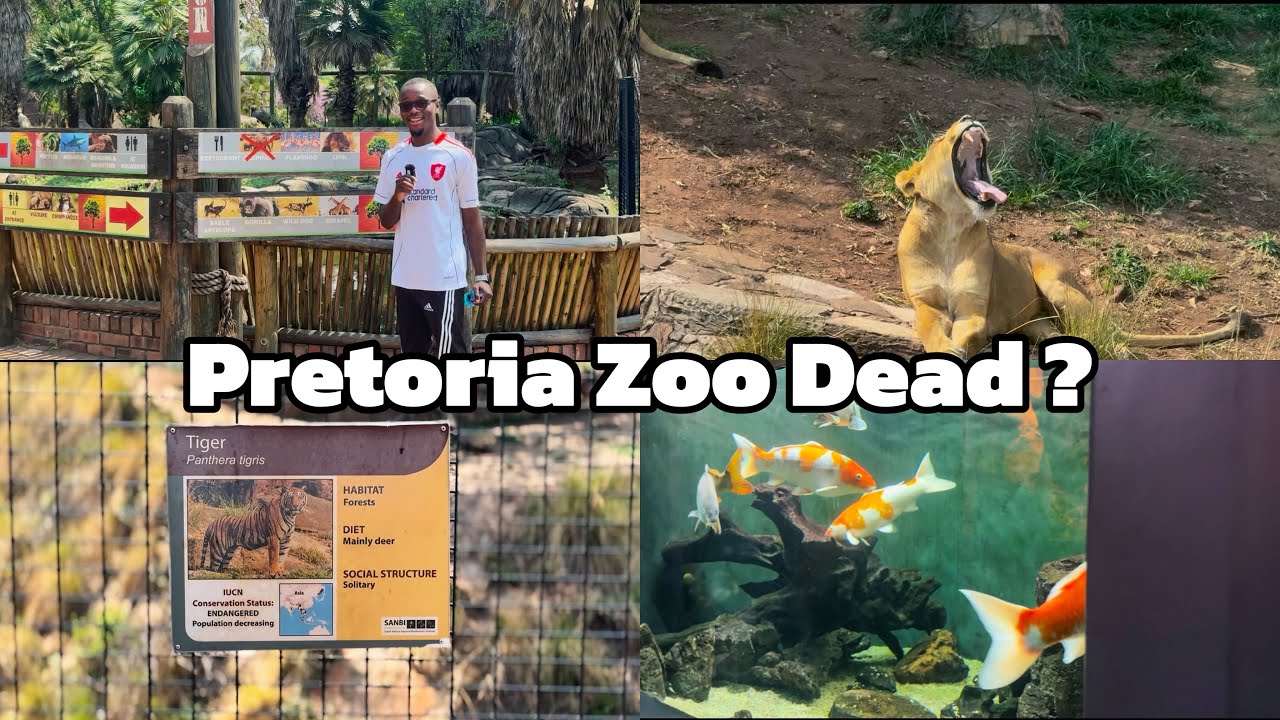 Does Pretoria Zoo Still Have Animals in 2025 ? Cost Breakdown | What to expect ! 