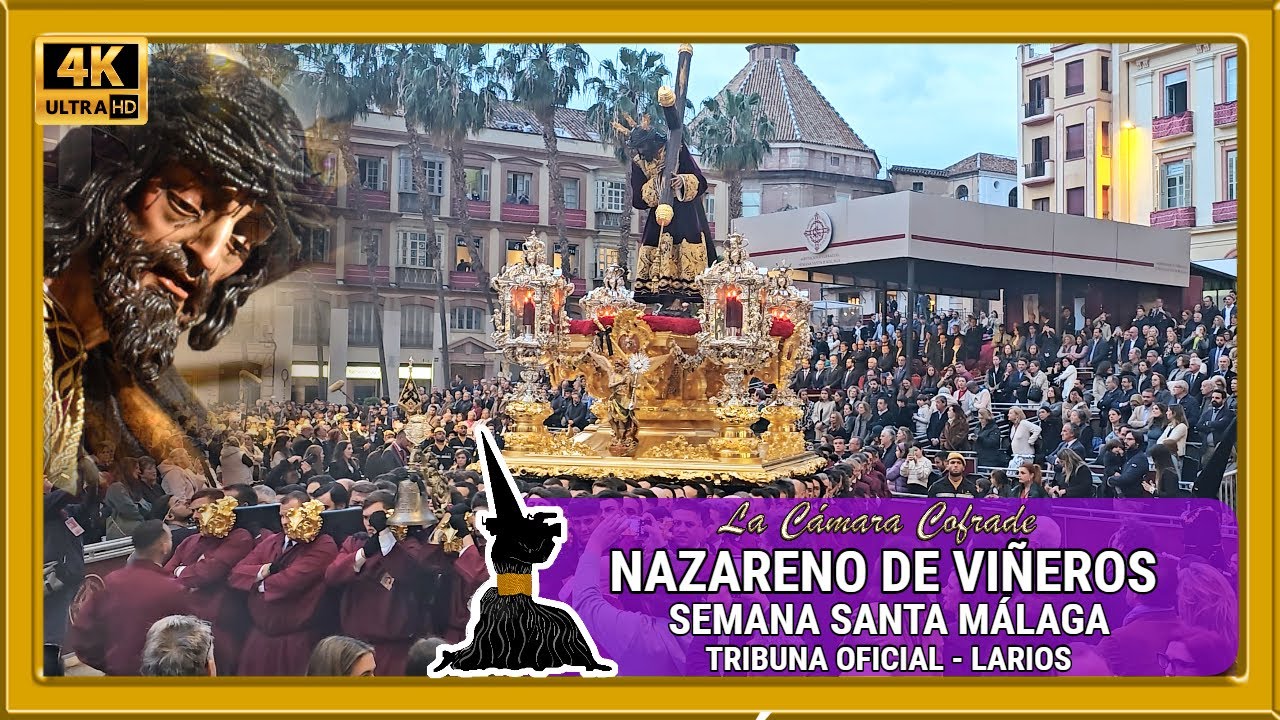 NAZARENO DE VIÑEROS MÁLAGA 2024. TRIBUNA OFICIAL - LARIOS. SEMANA SANTA MÁLAGA 2024. MULTICÁMARA 4K