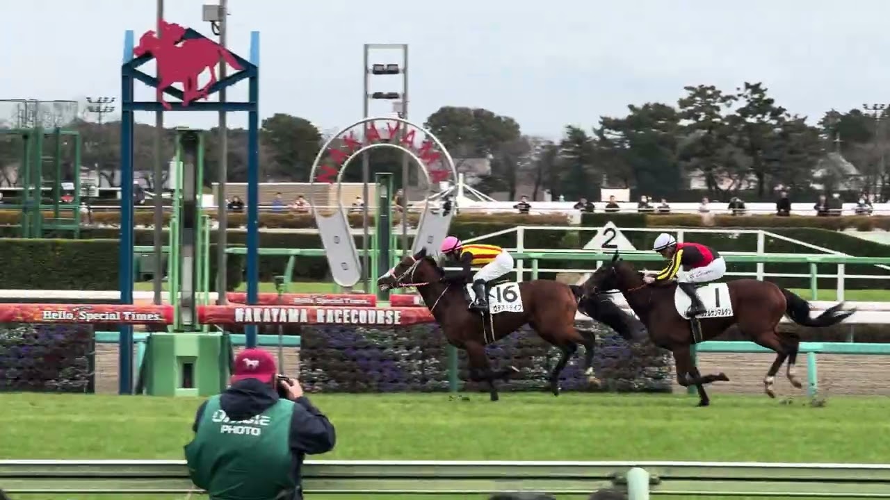 ［現地観戦］2025.12.21（日）中山5R 2歳新馬戦