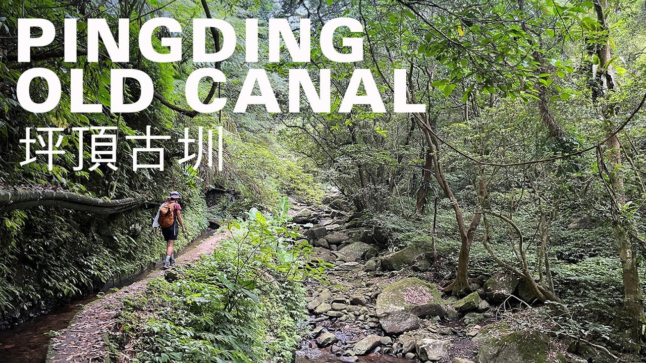 坪頂古圳環走6km，北市近郊逃離都市熱島效應，內雙溪水源頭納涼｜山上加美Lovely Hill