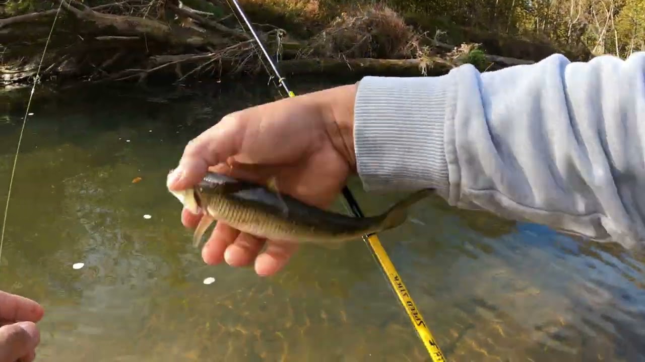 pescando y disfrutando 9