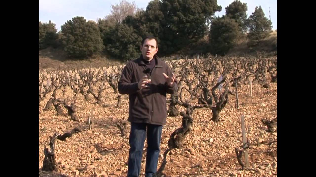LAURENT CHARVIN A CHÂTEAUNEUF-DU-PAPE by LOTEL DU VIN
