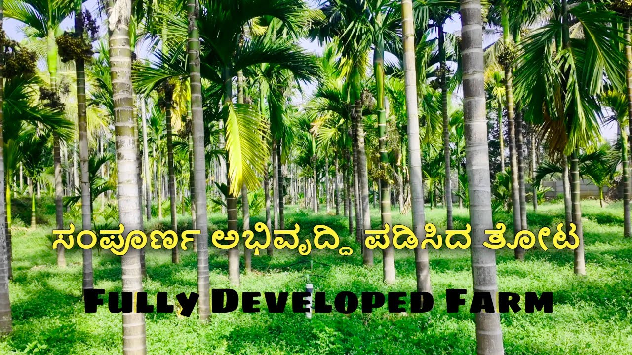 Don’t Miss This! ಸಂಪೂರ್ಣ ಅಭಿವೃದ್ಧಿಪಡಿಸಿದ ಪ್ರೀಮಿಯಂ ತೋಟ