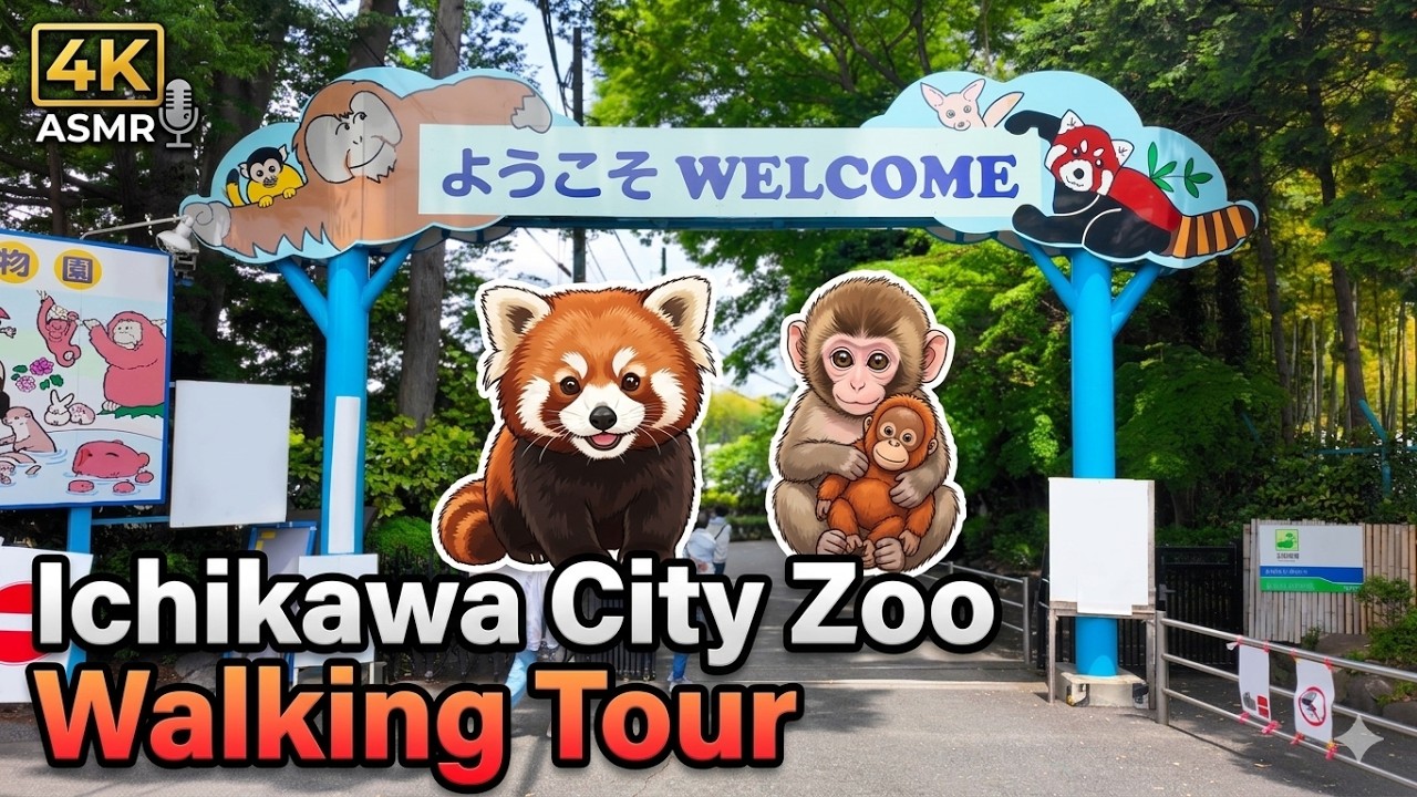 【4K】Ichikawa City Zoo Walking Tour | Meet Punch the Japanese Macaque!【ASMR】