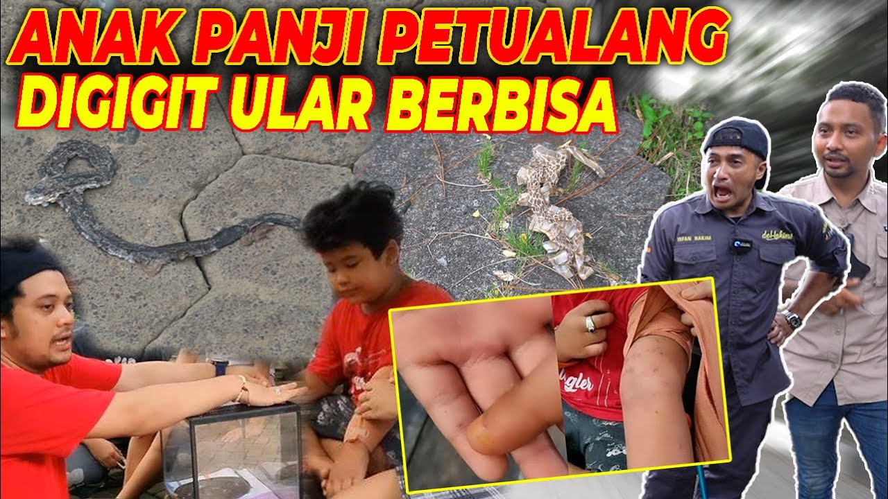 SARANG ULAR COBRA KEMBALI DITEMUKAN DI PERUMAHAN ELITE CINERE..