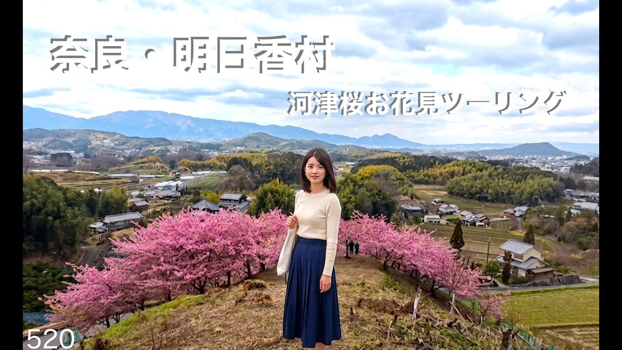 奈良・明日香村　「河津桜の丘」